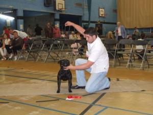 Inkastaff scorpion king Banwen open2007