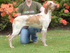 Casaforte Delluigi From Gunsyn