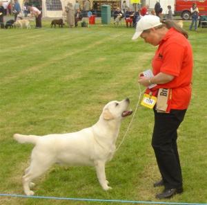Archie at Welks
