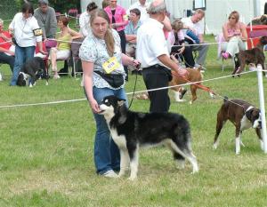 Jinx at 3 Counties