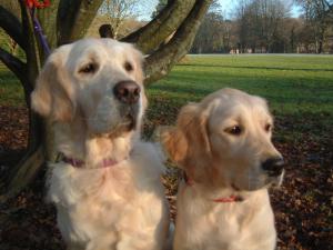 ELLIE AND MUM MOLLY !!