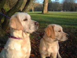 ELLIE AND MUM MOLLY !!