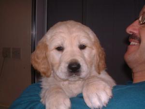 Ellie so cute !!