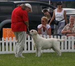 Archie in the challenge for BPIS at Lab Club