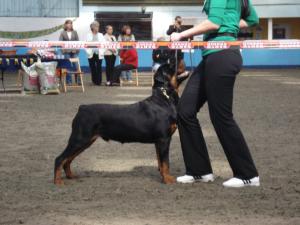 Rocky @ 7mths