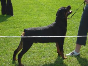Rocky @ 7 mths
