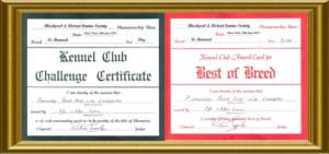 Dog CC & BOB Certificate
