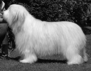 libby age 12m