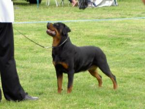 VIOLET AT TODAYS SHOW