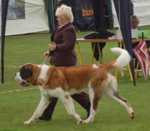 Rooney @ Navan