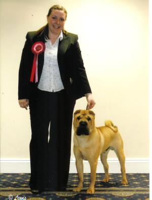 Me & Shadow