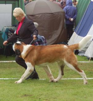 Rooney at Clonmel