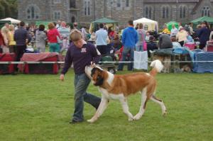 Rooney & Jonathan @ Killarney