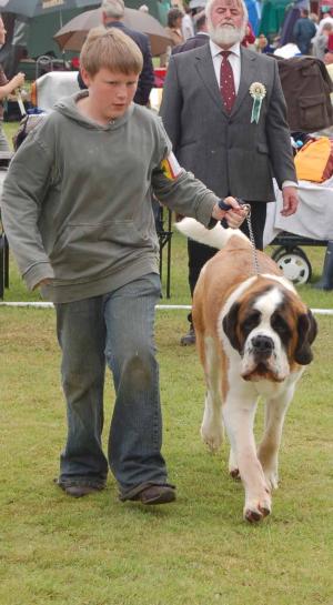 Rooney @ Limerick
