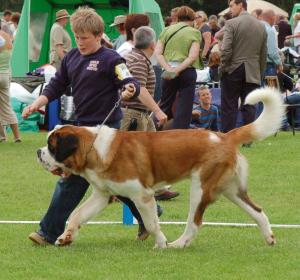 Rooney & Jonny at Tralee