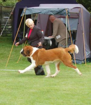 Tia at Clonmel