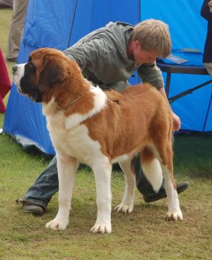 Tia & Jonny @ Limerick