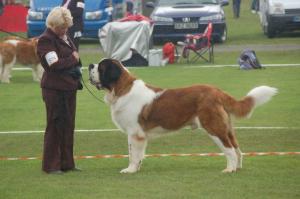 Cody @ Navan