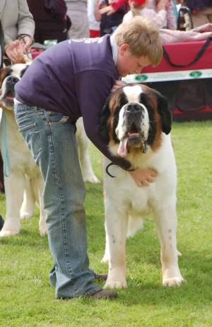Cody @ Killarney