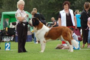 Cody @ Tralee