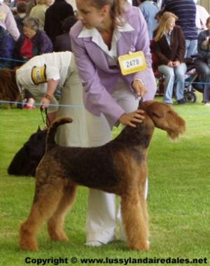 Rani & Handler Lucia