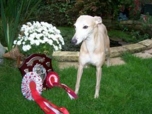 Mikkee with her super shield and rosettes