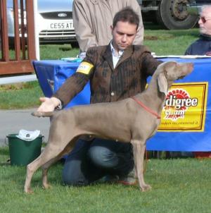 Maizie winning her third CC