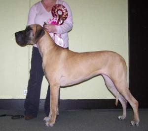 Phoebe following her best in show