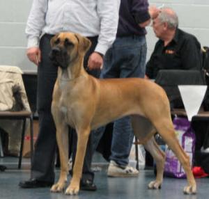 Alvenia waiting her turn to be judged