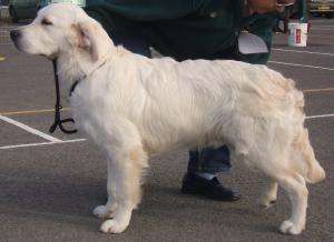 Connor at 6 1/2 months