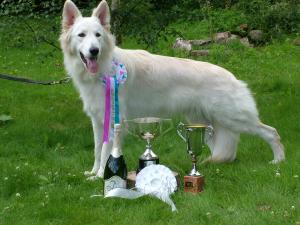 Ice's Trophy photos from his first ever Rally.