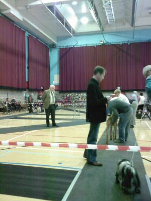 Moray judging
