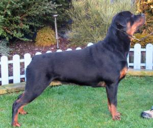Meggie @ 10 Month