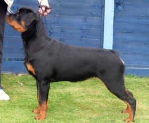 Meggie @ 7 Month
