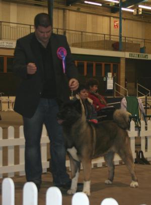 Jon handling Megan in RBOB Stakes