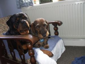 Buck with his pal Wilf