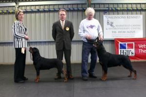 Nellie wins Best in Show