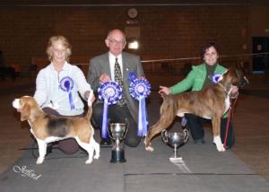 RESERVE BEST IN SHOW