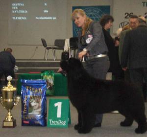 FCI INTERNATIONAL SHOW IN TRENCIN