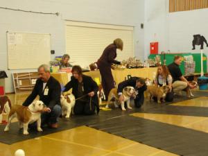 BERTS PLACING AT THE SHOW