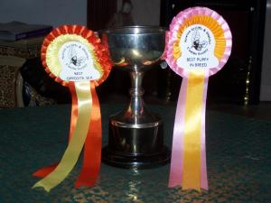 ESKAMINZIN CUP BEST PUPPY