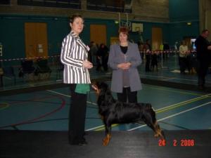 Nellie at the Midland Rott Open Show