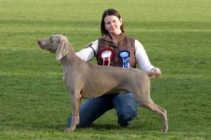 Best in Show WA Limit Show March 2008