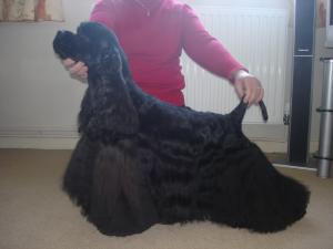 TRULY YOURS BEEN WAITING FOR YOU FIELGAR