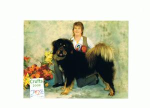 CHEVY @ CRUFTS 2008