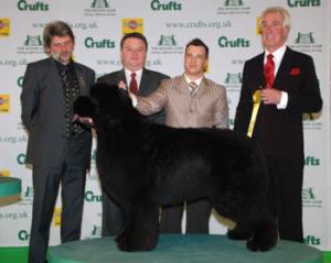 CARLOS WINNING RESERVE IN THE WORKING GROUP 2008