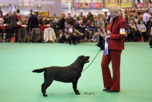 Ch. Naiken Russian Rhythm, JW