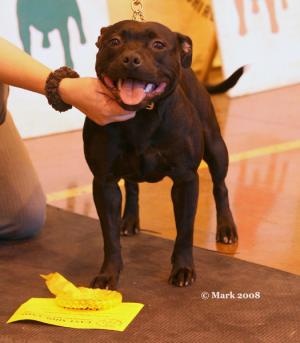 Misty gaining 3rd in Limit