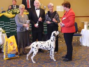 DELLA WINNING DALMATIAN PUPPY OF THE YEAR 2007