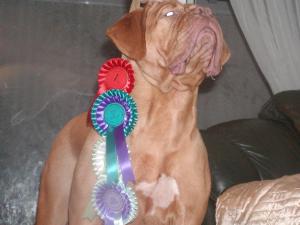 11 mths collecting BEST-OF-BREED